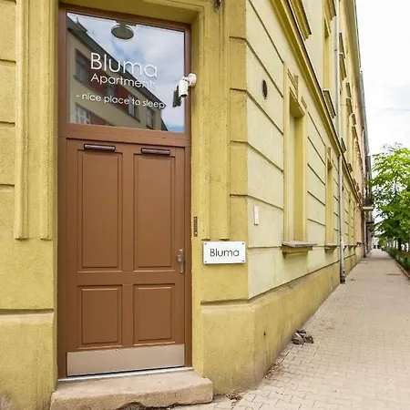 Bluma Krakow